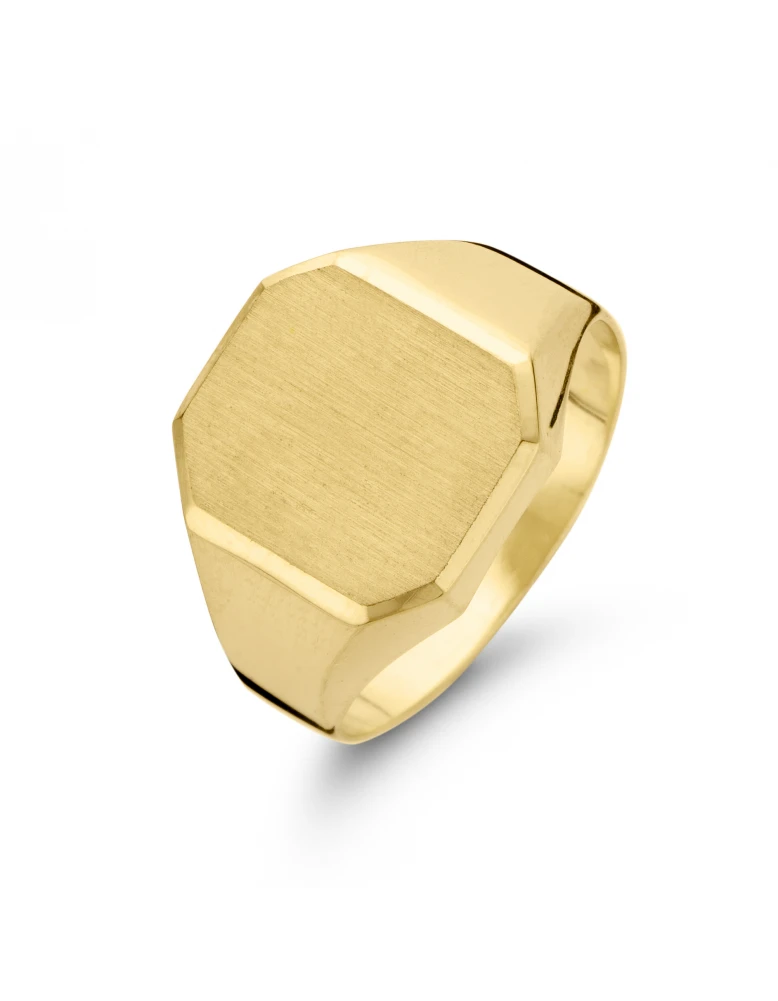 Goud-zilver, steenmaat 15x12