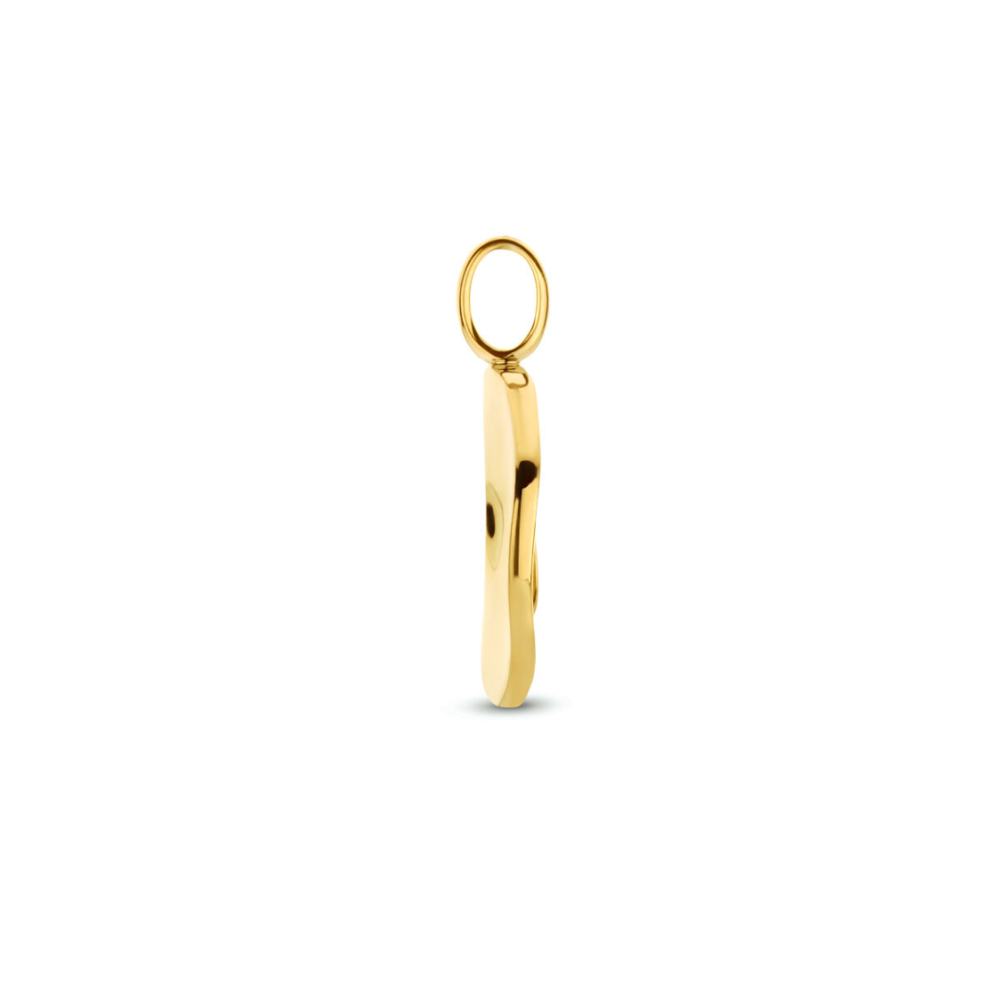 Hanger Geel