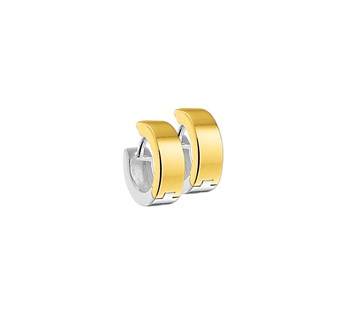 Oorsieraad Geel,zilver