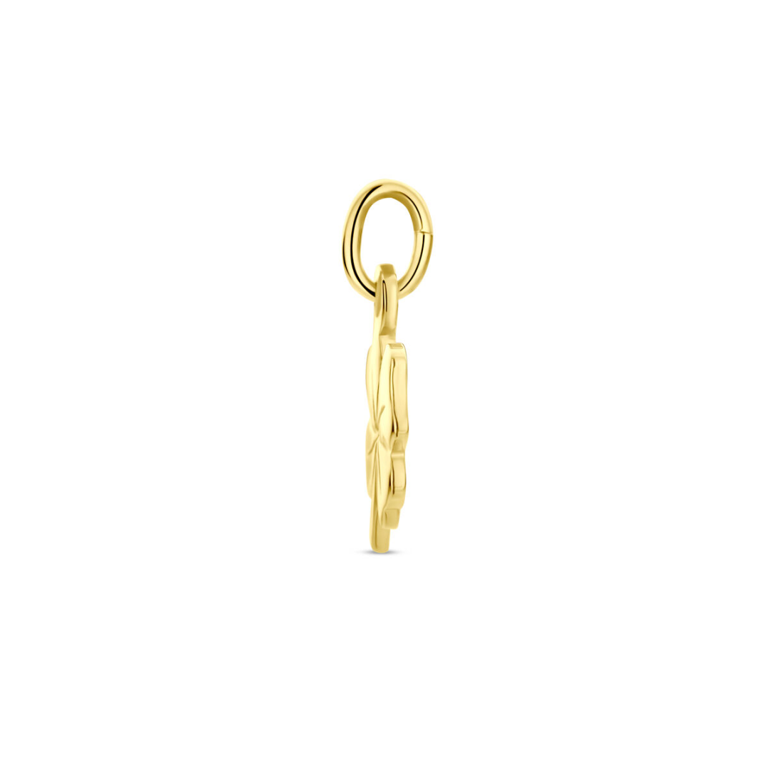 Hanger Geel