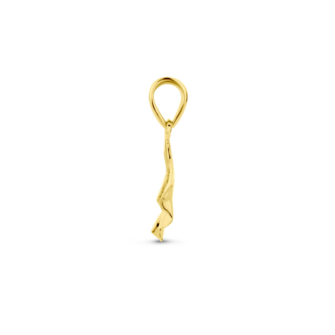Hanger Geel